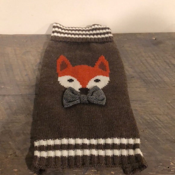 Doggie clothes - diapers Bundle - Picture 9 of 15